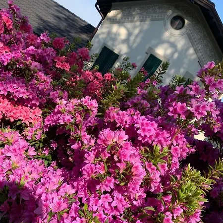 Giardini Magnolia דירה