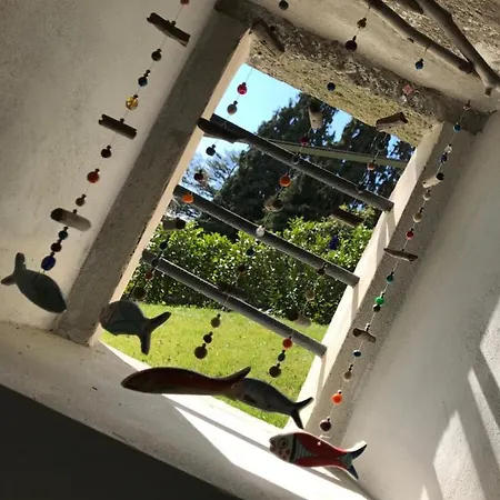 Giardini Magnolia Apartment Belgirate