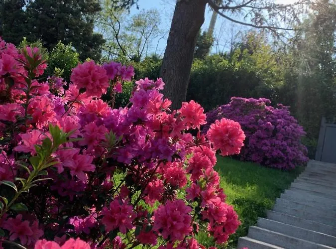 Giardini Magnolia *