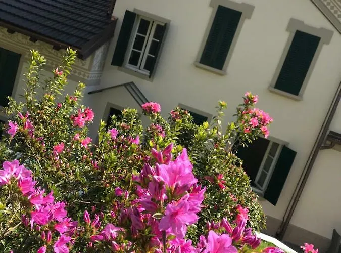 Giardini Magnolia * Belgirate